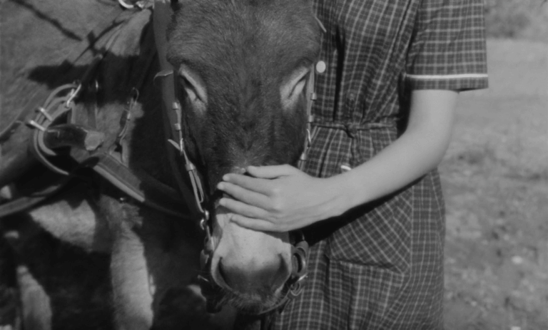 Anne Wiazemsky et l'âne dans AU HASARD BALTHAZAR de Robert Bresson