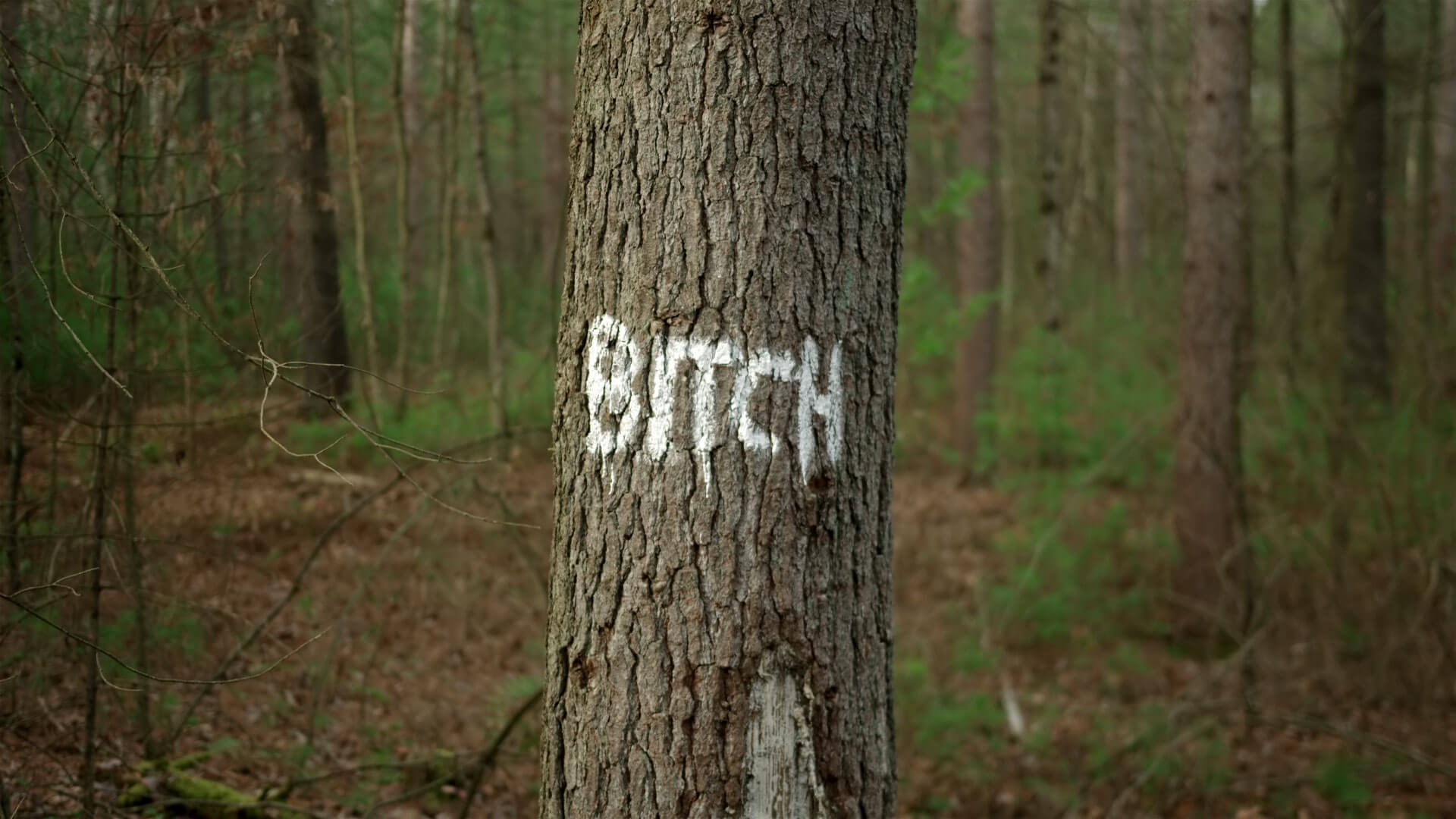 Injure misogyne écrite sur un arbre dans le film JE VOUS SALUE SALOPE