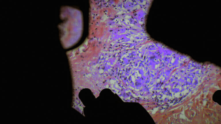 Un médecin regarde une image magnifiée de cellules humaines dans le film De Humani Corporis Fabrica