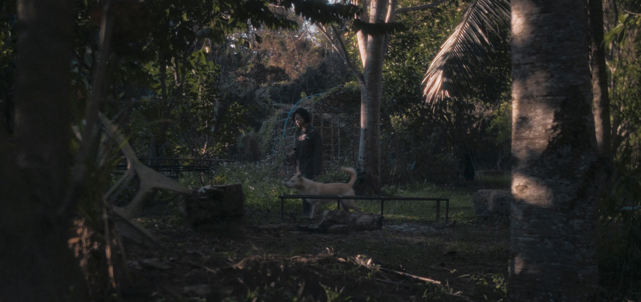 Une femme et un chien dans une scène du film L'île de Sukwan