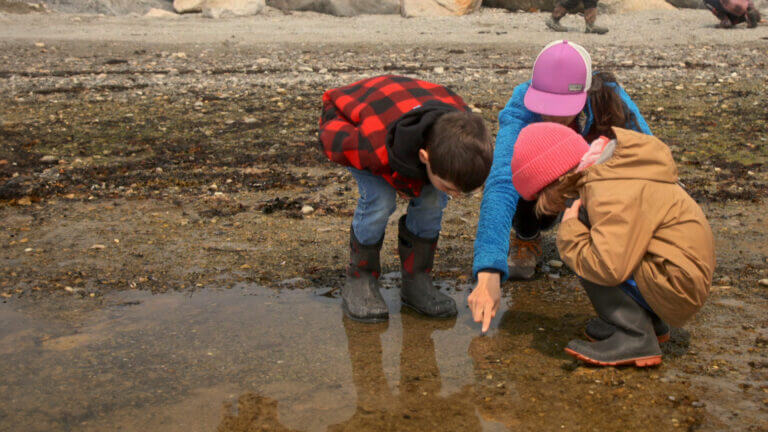 Des enfants s'amusent dans une flaque d'eau dans une scène du film Anticosti, l'école du bonheur ?