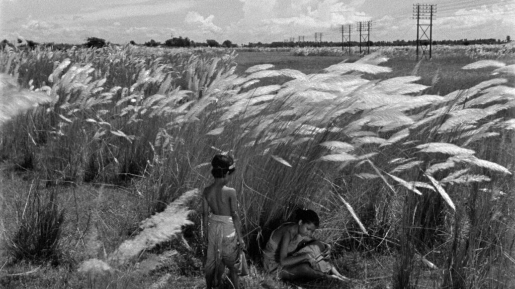 Deux enfant jouent dans les herbes hautes dans une scène du film Pather Panchali.