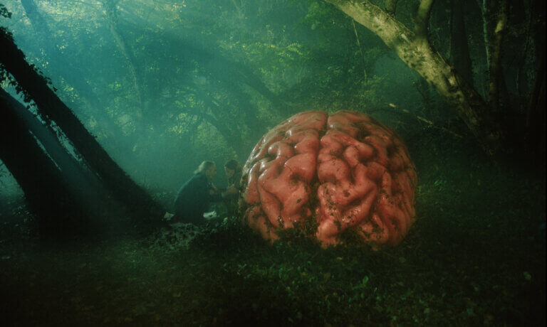 Un énorme cerveau dans une forêt lugubre dans une scène du film Rumours.