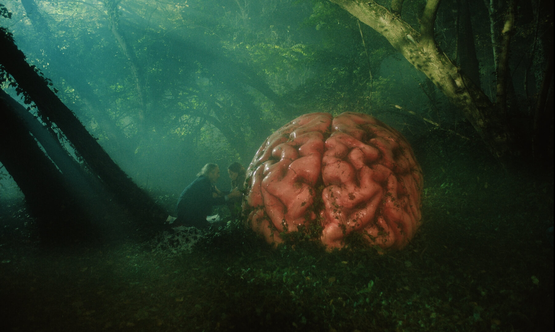 Un énorme cerveau dans une forêt lugubre dans une scène du film Rumours.