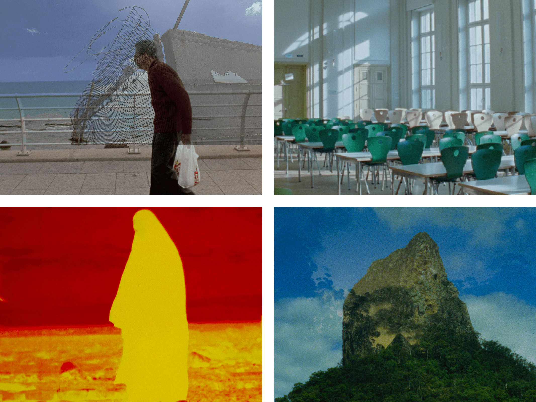 Une mosaïque d'images tirées des films du programme.