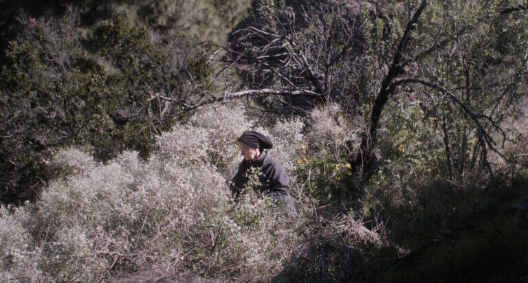 Une femme se promène dans les herbes hautes dans une scène du film The Undergrowth.