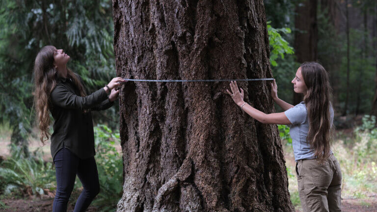 Sophie Nitoslawski, doctorante en foresterie urbaine à UBC, et l’étudiante Isabel Todorova mesurent le tronc d’un immense arbre sur le campus. L'image est tirée du film Forêts urbaines.