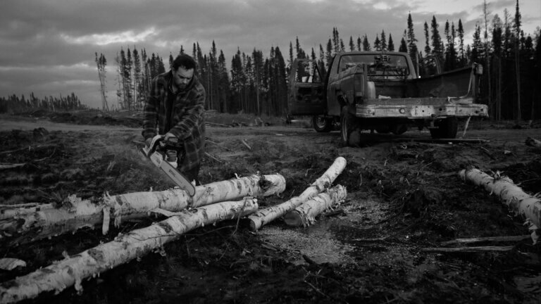 Martin scie du bois en forêt dans une scène du film Des chats sauvages.
