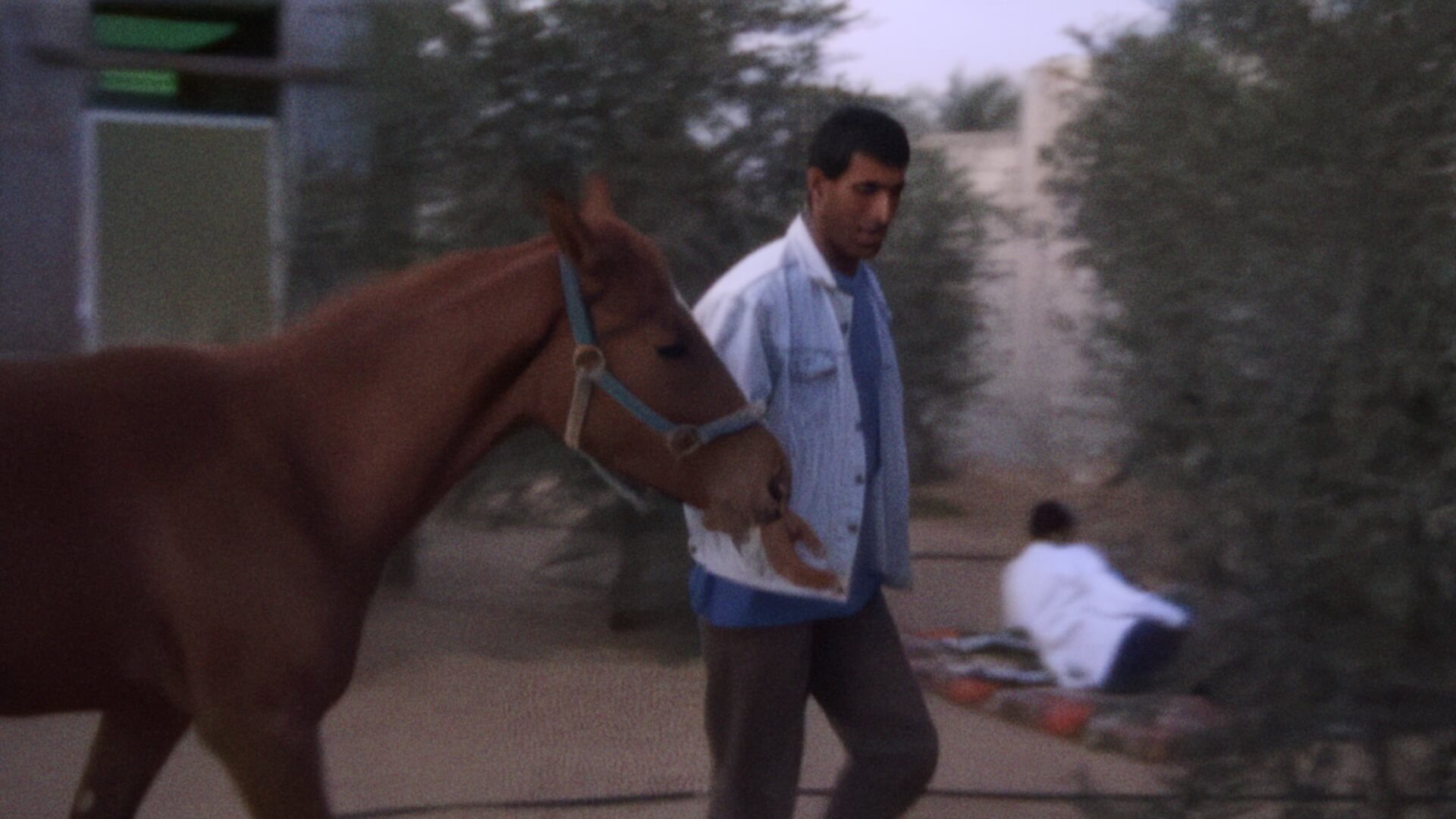 Un homme en veste de jeans entraîne un cheval châtain.