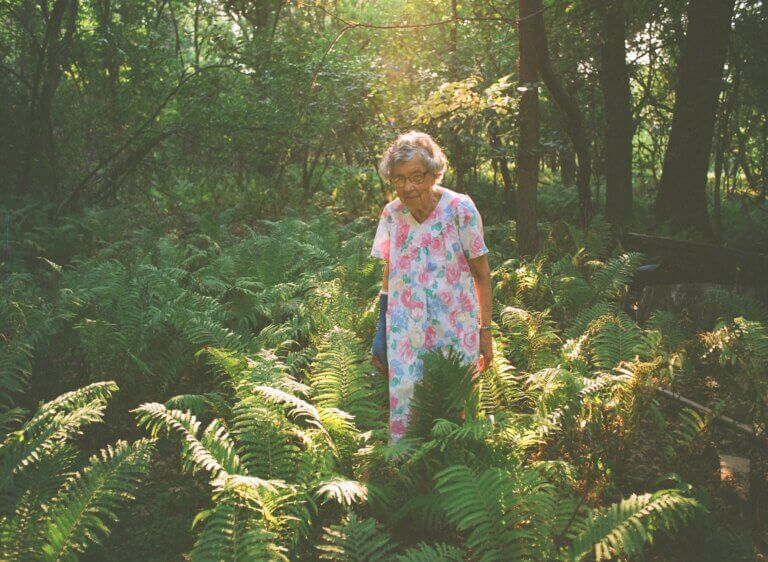 Une vieille femme parmi des fougères en forêt.